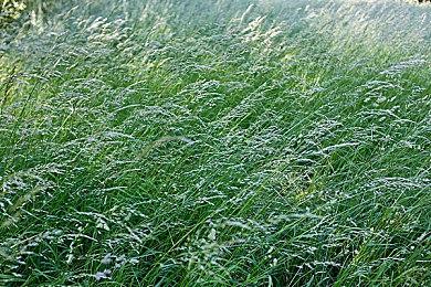 沙特要建全球最高端游戏电竞馆 可容纳5155人